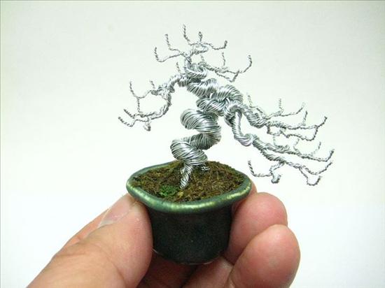 Bonsai, cây cảnh nghệ thuật, cay canh nghe thuat, cây thế, cay the, triển lãm cây cảnh nghệ thuật, trien lam cay canh nghe thuat